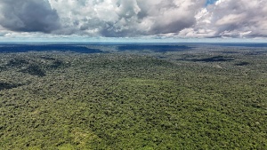 Capa da noticia BNDES e Instituto Clima e Sociedade firmam parceria com foco na restauração dos biomas brasileiros