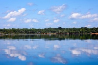 BNDES aprova R$ 250 milhões do Fundo Clima para Belterra recuperar 4 mil hectares na Amazônia