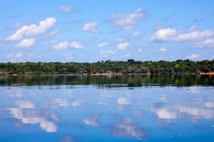 BNDES aprova R$ 250 milhões do Fundo Clima para Belterra recuperar 4 mil hectares na Amazônia