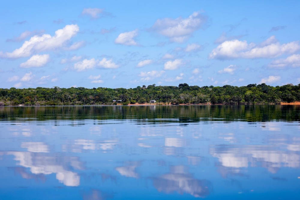 BNDES aprova R$ 250 milhões do Fundo Clima para Belterra recuperar 4 mil hectares na Amazônia