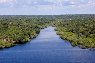 BNDES aprova R$ 200 milhões do Fundo Clima para Mombak restaurar 7,2 mil hectares na Amazônia