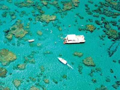 Capa da noticia Rio Grande do Norte recebe projeto do BNDES para monitoramento e restauração de corais