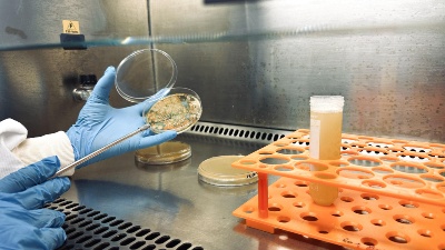 Bioinsumos desenvolvidos pela Embrapa Hortaliças.