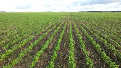Capa da noticia BNDES concede garantia em operação para produtores rurais clientes da Agrogalaxy