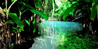 Capa da noticia Governo do Tocantins e BNDES abrem dia 30 consulta pública ao projeto de concessão no Parque do Jalapão