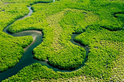 Capa da noticia Desembolsos do BNDES para Amazônia Legal superam R$ 10 bi de jan a set/2024, 83% a mais que 2022