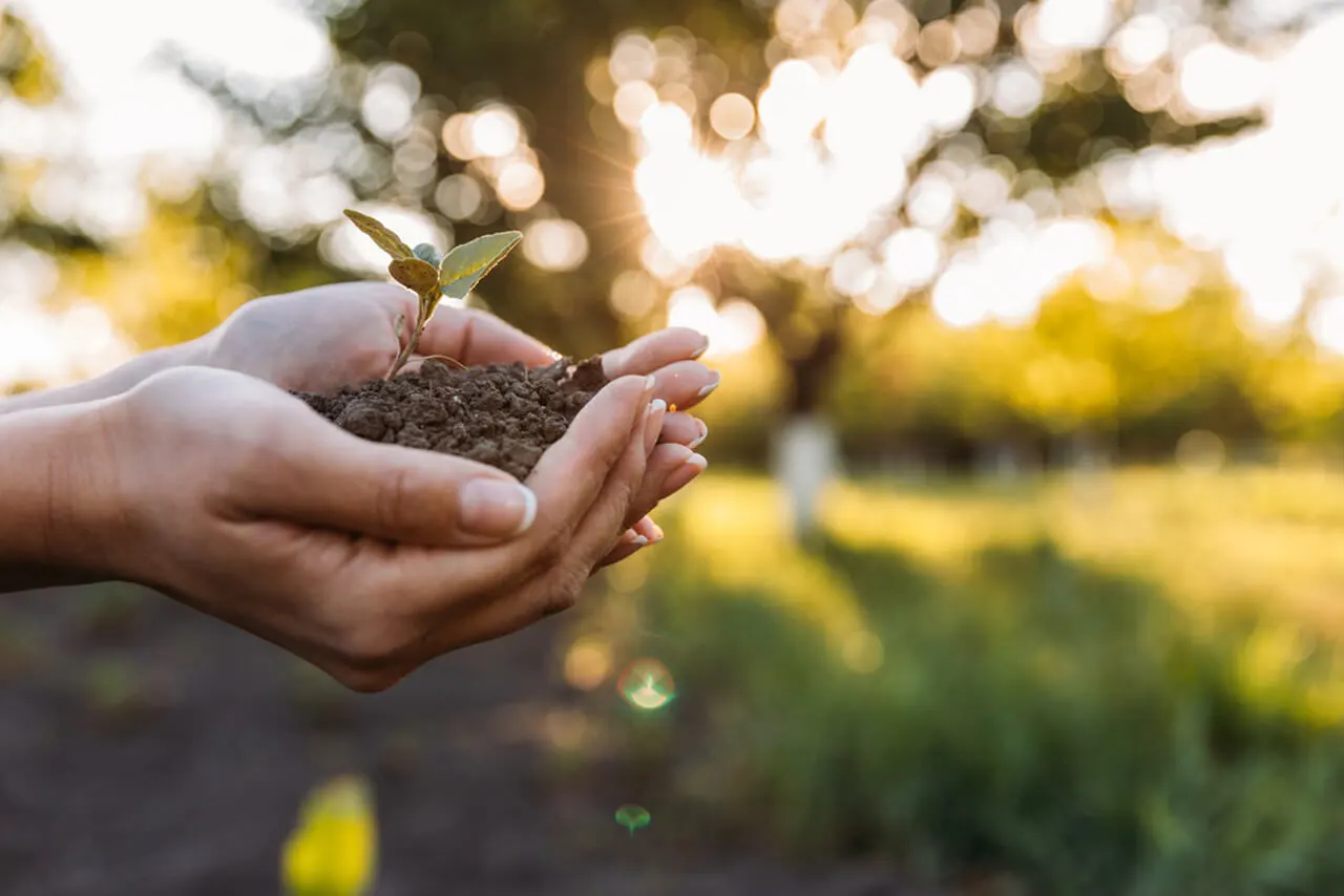 Capa da noticia BNDES cria Fundo Socioambiental para apoiar educação, ambiente e emprego
