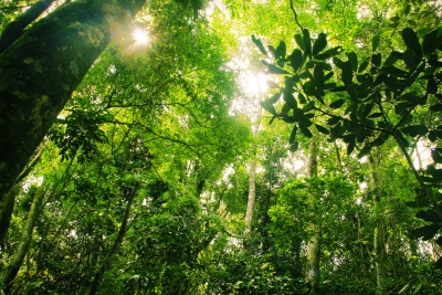 Capa da noticia Com apoio do BNDES, Pernambuco lança edital para primeira concessão de parque estadual no Nordeste