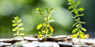 Capa da noticia BNDES contrata gestoras do fundo Criatec 4, que investirá em startups com foco socioambiental