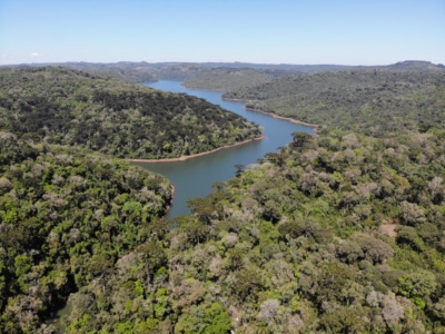 Capa da noticia BNDES apoia reflorestamento da Mata Atlântica em Santa Catarina