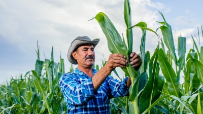 Capa da noticia BNDES reabre Plano Safra com R$ 3,6 bi e chega a R$ 7,6 bi em recursos novos para crédito agrícola