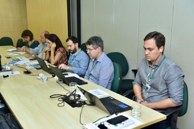 Capa da noticia Experiência do BNDES com títulos verdes é destaque em seminário da ONU