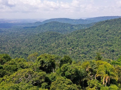 Capa da noticia BNDES cria programa com R$ 500 milhões de financiamento para concessões de parques e florestas