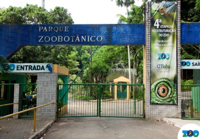 Capa da noticia Com apoio do BNDES, Governo da Bahia inicia consulta pública para conceder Zoológico e parques