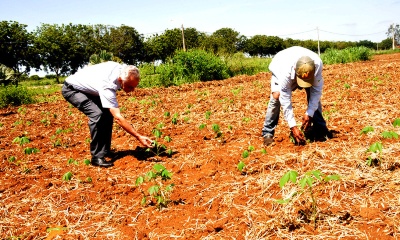 Capa da noticia Apoiado pelo BNDES, edital para inclusão produtiva beneficiará 2.400 pessoas no Tocantins