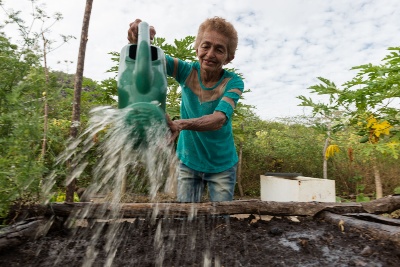 Capa da noticia BNDES seleciona projeto para implementar iniciativa que beneficia 400 mil famílias no semiárido