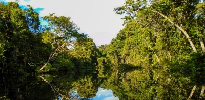 Capa da noticia BNDES, MMA e Ibama inauguram Central de Combate a Incêndios