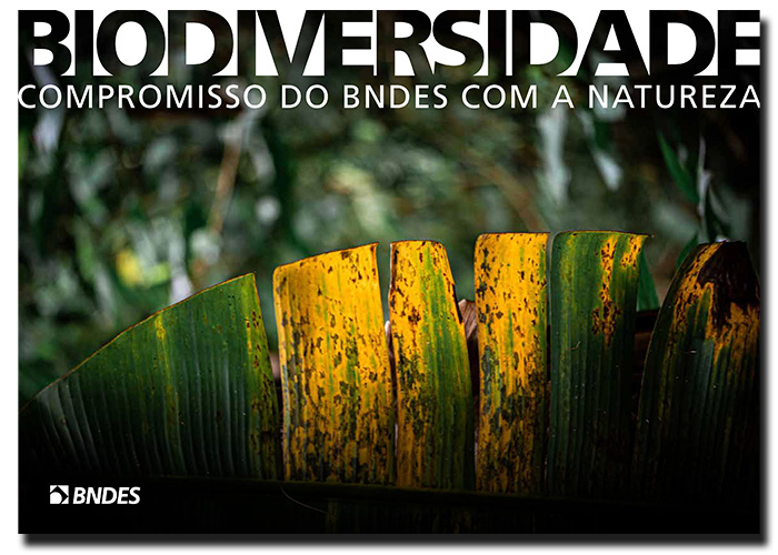 BNDES_Biodiversidade_capa_pt