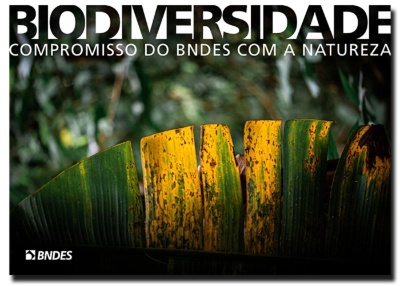 Capa da noticia BNDES lança compromissos com a Biodiversidade na COP16, em Cali