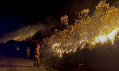Capa da noticia BNDES aprova R$ 45 milhões do Fundo Amazônia para corpo de bombeiros de Roraima