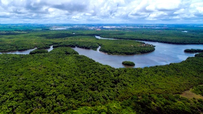 Capa da noticia BNDES-Fundo Clima desembolsa R$ 100 milhões para restauração florestal com Mombak