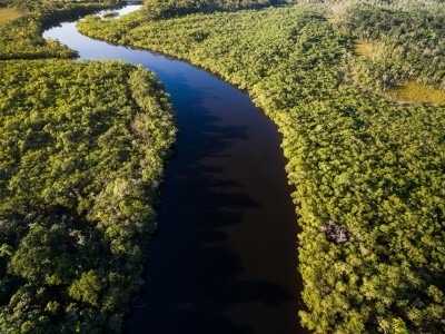 Capa da noticia Fundo Amazônia tem nova doação de US$ 60 milhões da Noruega