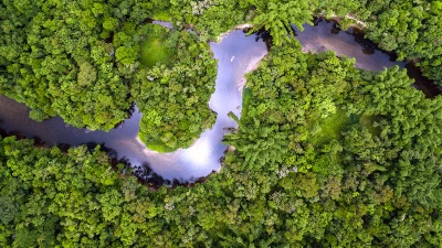 Capa da noticia Fundo Clima: BNDES libera R$ 80 milhões para re.green reflorestar áreas na Amazônia e Mata Atlântica