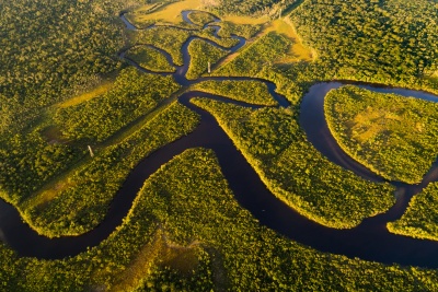 Capa da noticia Com R$ 882 milhões, Fundo Amazônia atinge recorde histórico de aprovações este ano 