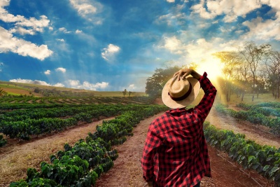 Capa da noticia Plano Safra 2024/2025: BNDES destina R$ 14,8 bi ao Programa Nacional de Fortalecimento da Agricultura Familiar (Pronaf)