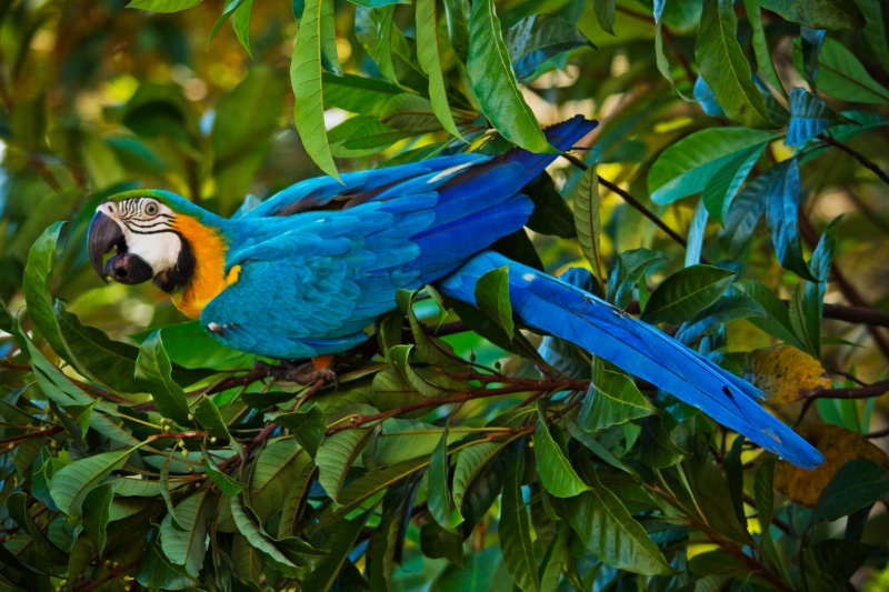 Depositphotos_206759962_l-2015