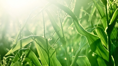 Capa da noticia Com taxa incentivada, novo programa do BNDES estimula redução de emissões de CO2 no setor de combustíveis