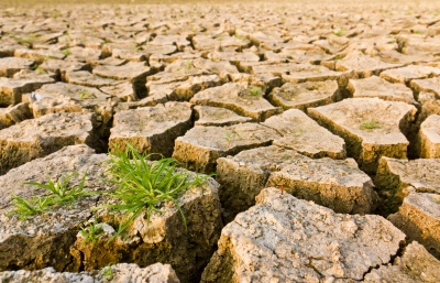 Capa da noticia Em sete meses, BNDES aprova R$ 7,3 bi dos R$ 10,4 bi aportados pela União para operações do Fundo Clima
