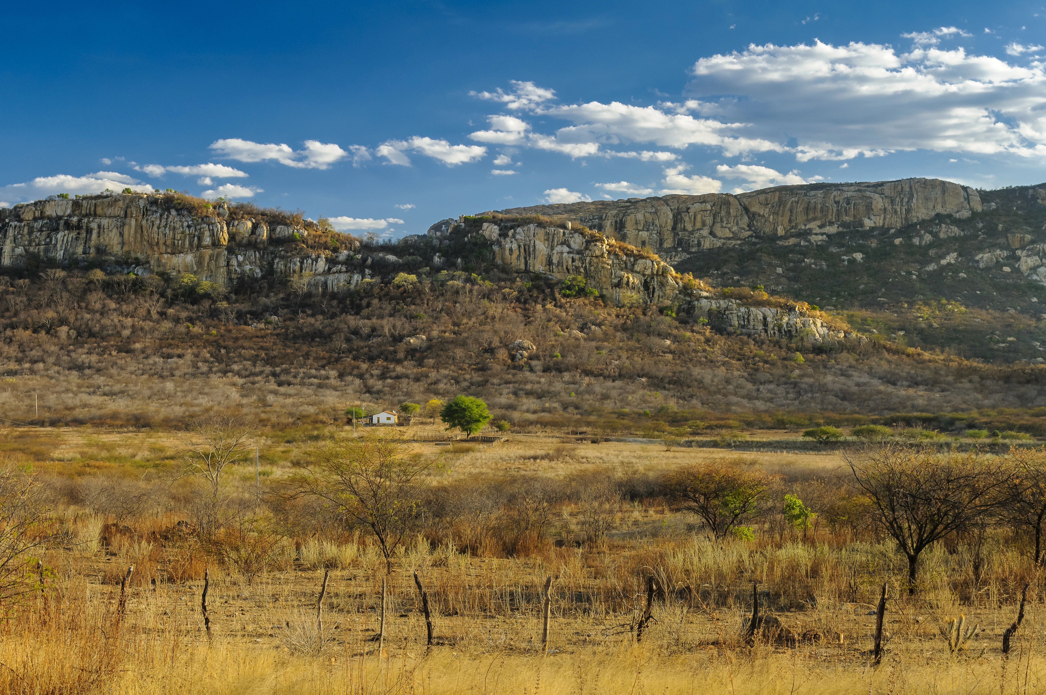 Depositphotos_746956222_XL