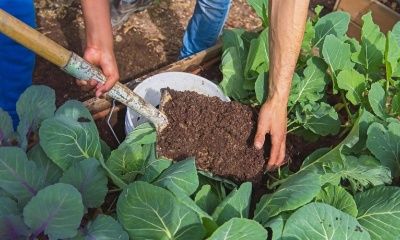 Capa da noticia Edital Ecoforte está com inscrições prorrogadas até 7 de outubro