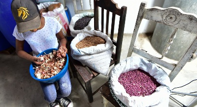 Capa da noticia BNDES premia 10 projetos de agricultura tradicional por boas práticas