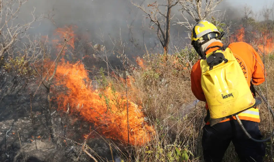 Capa da noticia BNDES aprova R$ 45 milhões do Fundo Amazônia para corpo de bombeiros do Pará