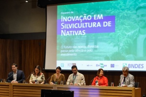Capa da noticia Projeto financiado pelo BNDES impulsiona inovações em silvicultura de espécies nativas