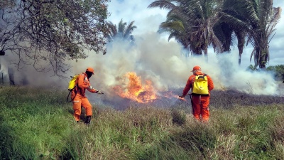 Capa da noticia BNDES aprova R$ 45 mi do Fundo Amazônia para o Corpo de Bombeiros do MA prevenir e combater incêndios florestais