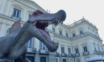 BNDES tem papel central na reconstrução do Museu Nacional