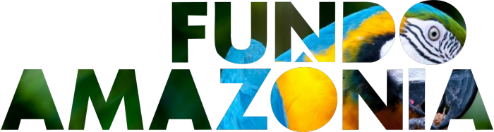 BNDES e Ministério do Meio Ambiente se reúnem para avaliar operações do Fundo Amazônia
