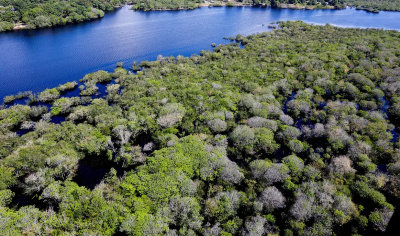 Capa da noticia BNDES e CI-Brasil lançam edital de R$ 23 milhões para restauração ecológica na Amazônia