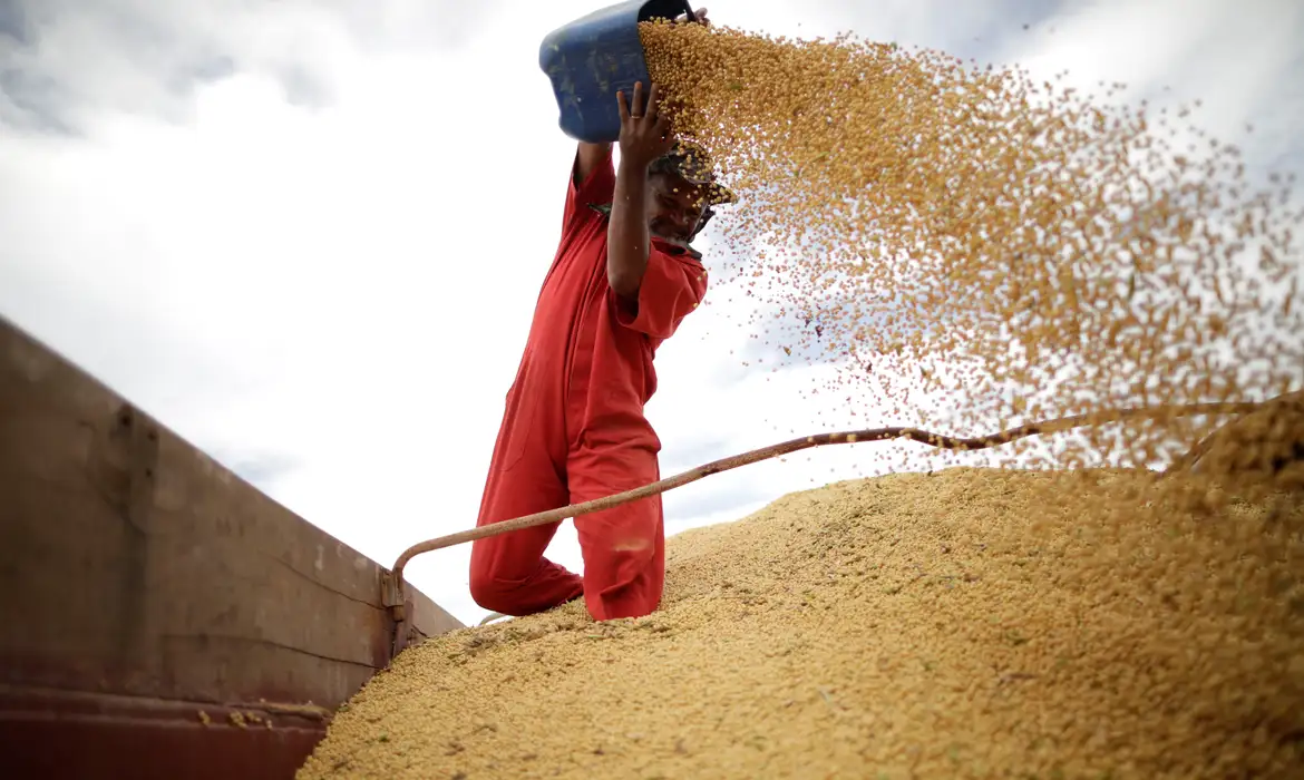 Capa da noticia Com R$ 40 milhões do BNDES, cooperativa do Paraná modernizará armazenagem de grãos