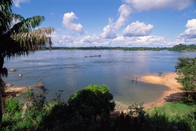 Capa da noticia BNDES seleciona projetos de restauração ecológica na bacia hidrográfica do Xingu, nos estados do PA e de MT