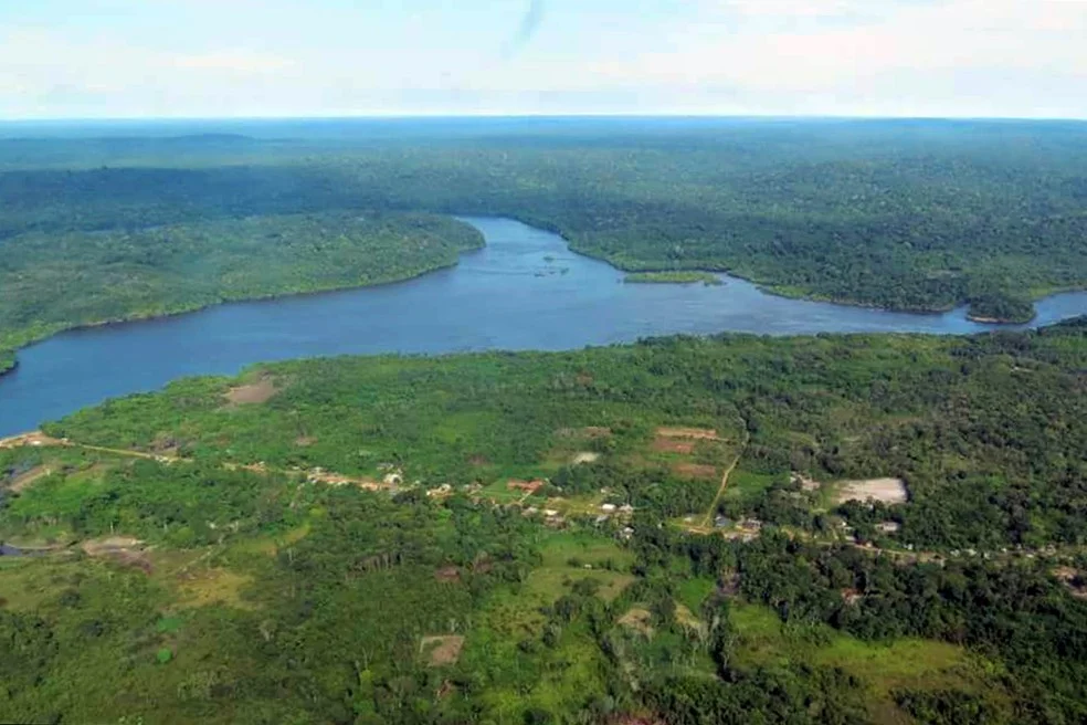 Capa da noticia BNDES manifesta interesse em apoiar projeto de recuperação florestal no Sul do Pará