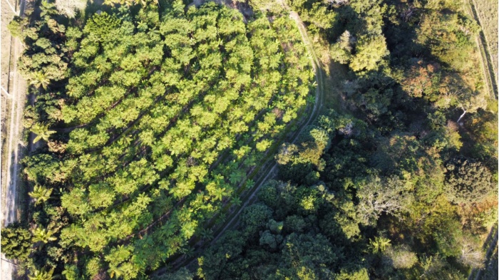 WhatsApp Image 2024-06-21 at 18.29.12