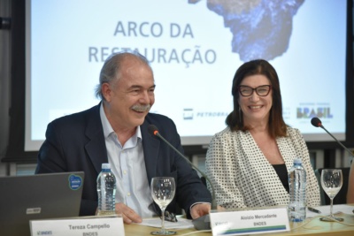 Capa da noticia BNDES e Petrobras fazem nova parceria para restauração ecológica na Amazônia