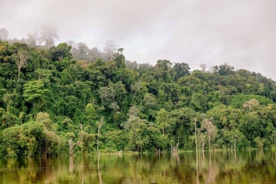 Capa da noticia BNDES e Ideflor-Bio firmam contrato para estruturar concessões florestais no Pará