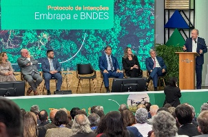 Capa da noticia BNDES e Embrapa fazem parceria para investimentos em pesquisa agropecuária e sustentabilidade ambiental