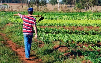 Capa da noticia Sertão Vivo: iniciativa do BNDES beneficia 75 mil famílias de agricultores rurais em Pernambuco