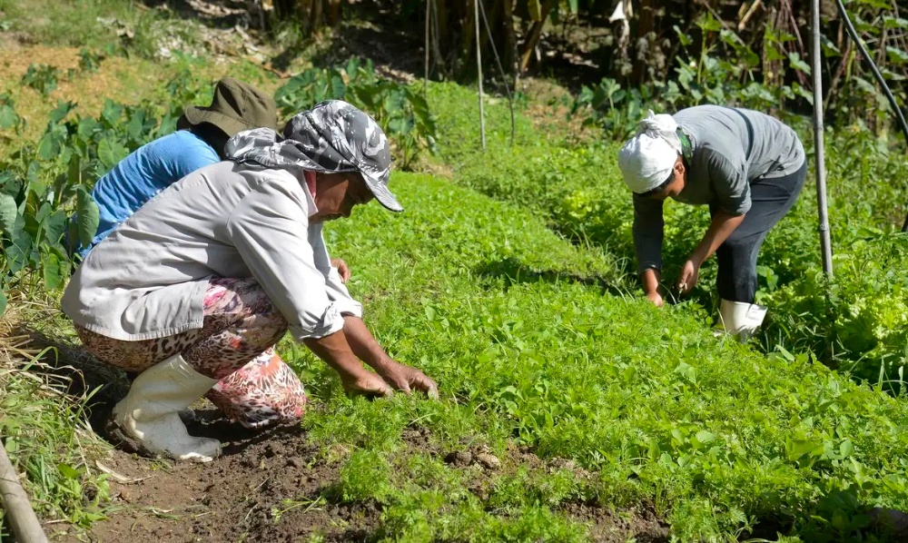 Capa da noticia BNDES repassa R$ 35 milhões para ações que visam retomada econômica em comunidades rurais da Bacia do Rio Doce